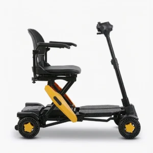 קלנועית עם שלט 2